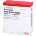PROSTATA SUIS Injeel forte Ampullen – Bild 4