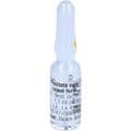 PROSTATA SUIS Injeel forte Ampullen – Bild 5