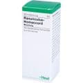 RANUNCULUS HOMACCORD Tropfen – Bild 2