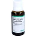 RANUNCULUS HOMACCORD Tropfen – Bild 6