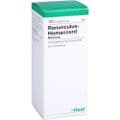 RANUNCULUS HOMACCORD Tropfen – Bild 2