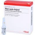 REN suis Injeel Ampullen – Bild 3