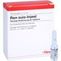REN suis Injeel Ampullen – Bild 4