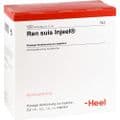REN suis Injeel Ampullen – Bild 2