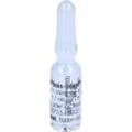 REN suis Injeel forte Ampullen – Bild 6