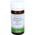 PFLÜGERPLEX Rhododendron 307 H Tabletten – Bild 6