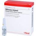 SILICEA INJEEL Ampullen – Bild 4