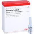 SILICEA INJEEL Ampullen – Bild 5