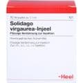 SOLIDAGO VIRGAUREA INJEEL Ampullen – Bild 1