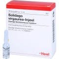 SOLIDAGO VIRGAUREA INJEEL Ampullen – Bild 3