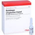 SOLIDAGO VIRGAUREA INJEEL Ampullen – Bild 4