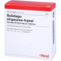 SOLIDAGO VIRGAUREA INJEEL Ampullen – Bild 5