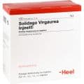 SOLIDAGO VIRGAUREA INJEEL Ampullen – Bild 2