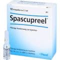 SPASCUPREEL Ampullen – Bild 5