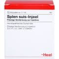 SPLEN suis Injeel Ampullen – Bild 1