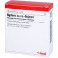 SPLEN suis Injeel Ampullen – Bild 5