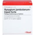 SYZYGIUM JAMBOLANUM INJEEL forte Ampullen – Bild 1