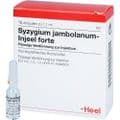 SYZYGIUM JAMBOLANUM INJEEL forte Ampullen – Bild 4