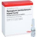 SYZYGIUM JAMBOLANUM INJEEL forte Ampullen – Bild 5