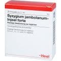 SYZYGIUM JAMBOLANUM INJEEL forte Ampullen – Bild 3