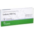LEDUM HM Injekt Ampullen – Bild 6