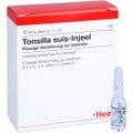 TONSILLA SUIS Injeel Ampullen – Bild 4
