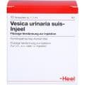 VESICA URINARIA suis-Injeel Ampullen – Bild 1