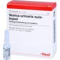 VESICA URINARIA suis-Injeel Ampullen – Bild 3