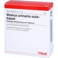 VESICA URINARIA suis-Injeel Ampullen – Bild 5