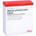 VESICA URINARIA suis-Injeel Ampullen – Bild 2
