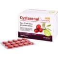 CYSTORENAL Cranberry plus Kapseln – Bild 2