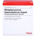 STREPTOCOCCUS HAEMOLYTICUS Injeel Ampullen – Bild 1