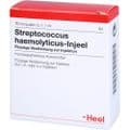 STREPTOCOCCUS HAEMOLYTICUS Injeel Ampullen – Bild 5