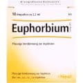 EUPHORBIUM COMPOSITUM SN Ampullen – Bild 1