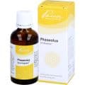 PHASEOLUS SIMILIAPLEX Tropfen – Bild 3