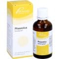 PHASEOLUS SIMILIAPLEX Tropfen – Bild 4