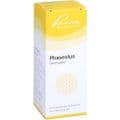 PHASEOLUS SIMILIAPLEX Tropfen – Bild 2