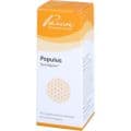 POPULUS SIMILIAPLEX – Bild 2