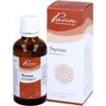 THYMUS SIMILIAPLEX – Bild 3