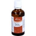 THYMUS SIMILIAPLEX – Bild 5