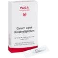 CARUM CARVI Kinderzäpfchen – Bild 4