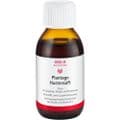 PLANTAGO HUSTENSAFT – Bild 3