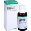 CHELIDONIUM-HOMACCORD Tropfen – Bild 4