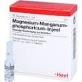 MAGNESIUM MANGANUM phosphoricum Injeel Ampullen – Bild 4
