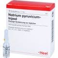 NATRIUM PYRUVICUM Injeel Ampullen – Bild 3