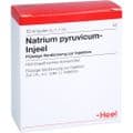 NATRIUM PYRUVICUM Injeel Ampullen – Bild 2