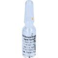 PARA BENZOCHINON Injeel forte Ampullen – Bild 6