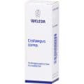 CRATAEGUS COMP.Dilution – Bild 2