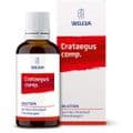 CRATAEGUS COMP.Dilution – Bild 5
