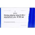 ARNICA PLANTA tota D 20/Equisetum arv.D 20 aa Amp. – Bild 1